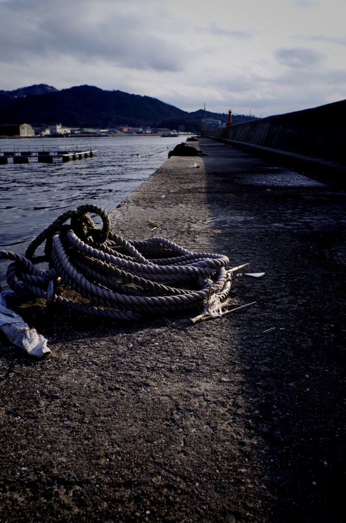 Harbor