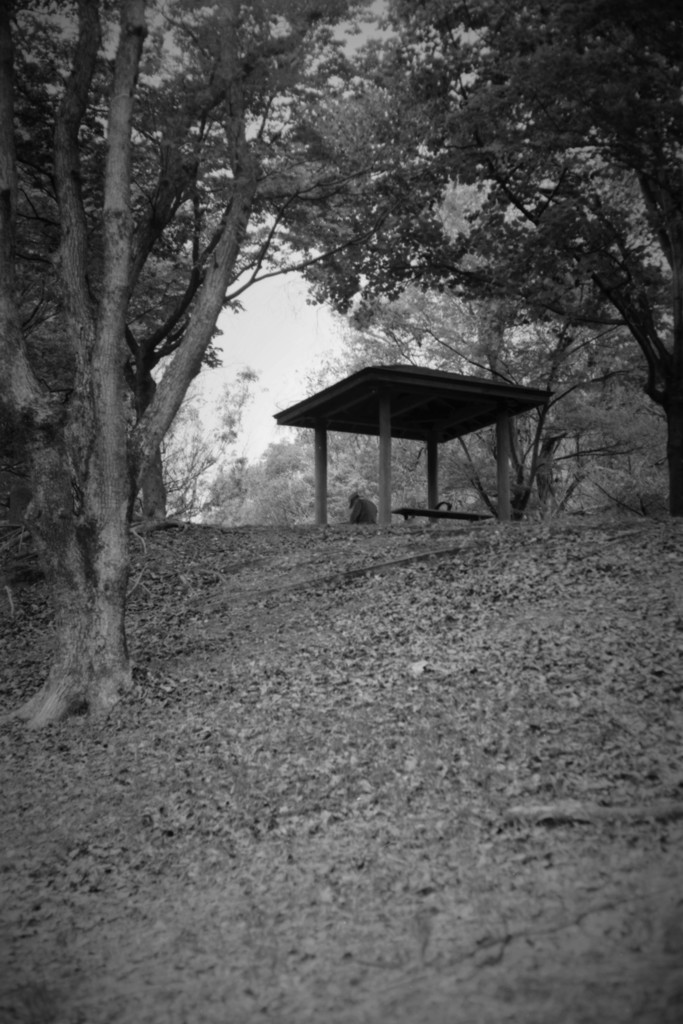 summicron