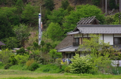 2016　miyama