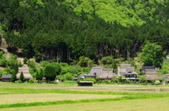 Miyama 2015