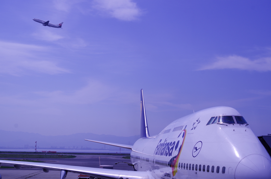 lufthansa