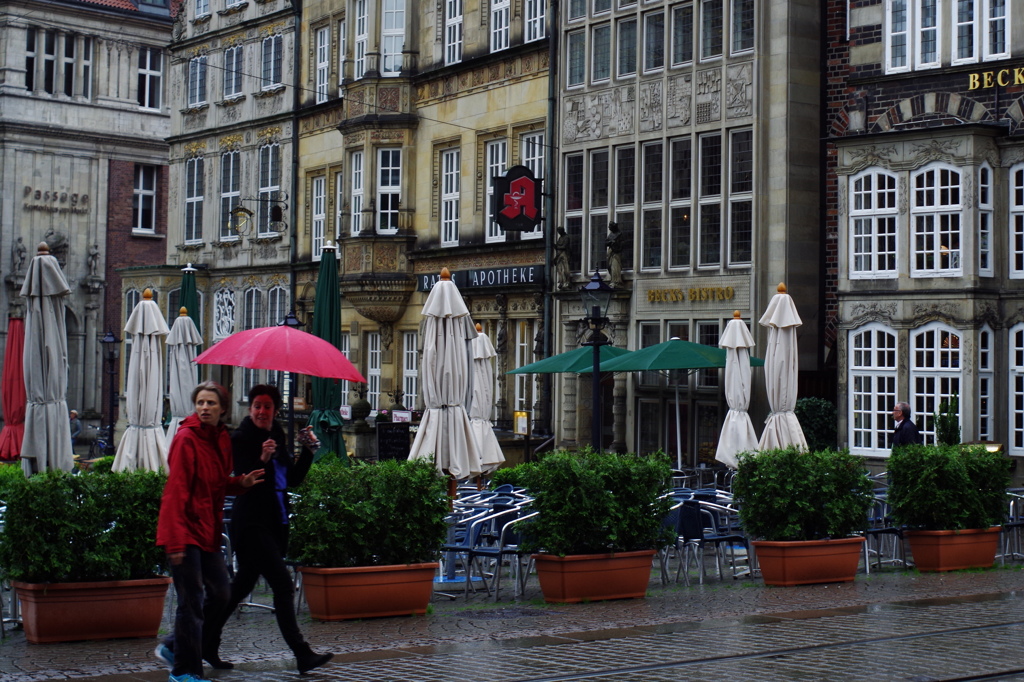 umbrella