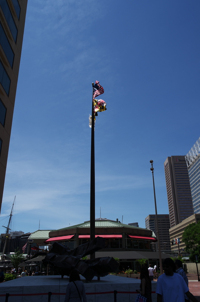 Flag