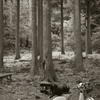 vespa camp 06