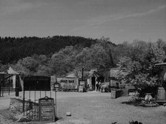 vespa camp with IIIf