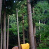 vespa camp miyama