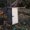 Bessamatic