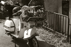 vespa camp 01