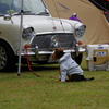 Japan miniday in hamanako