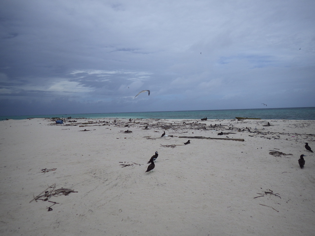 Cairns