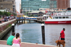 Inner Harbor