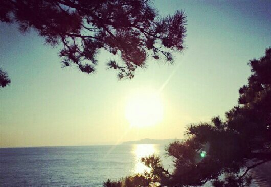 海
