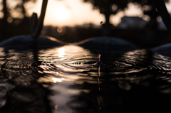 1/4000秒の夕暮れ