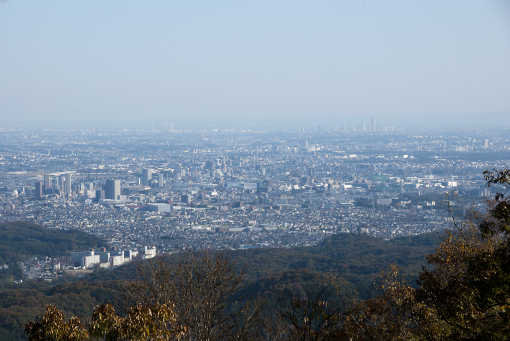 city