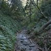 山道2