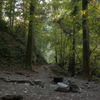 山道4