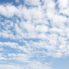 公園の空