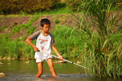 夏の鴨川-魚取り-