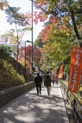 紅葉山道