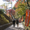 紅葉山道