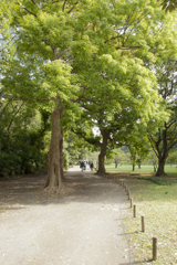 公園道1