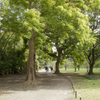 公園道1