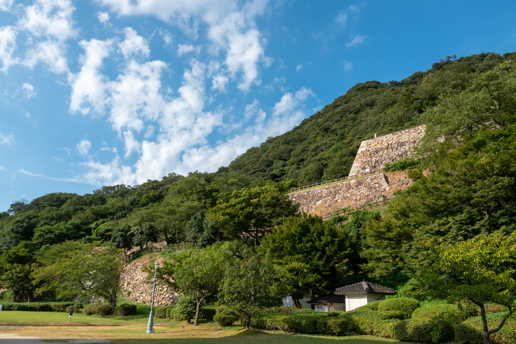 仁風閣 横の山
