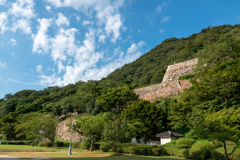 仁風閣 横の山