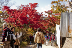 午後の高尾山