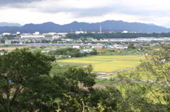 八景の棚(はけのたな)　（相模原市）