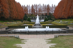 相模原公園