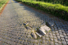 アッピア街道　古代の大理石