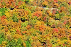 いろは坂の紅葉