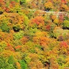 いろは坂の紅葉