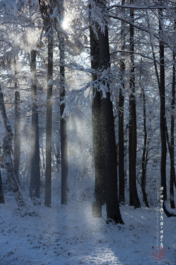 雪のベール