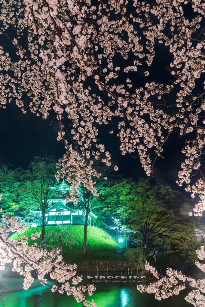 桜　story ３　２０１５
