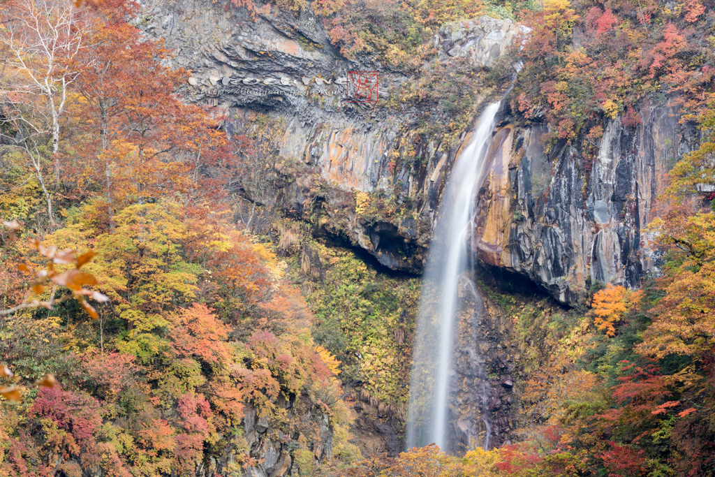 流れは永遠に