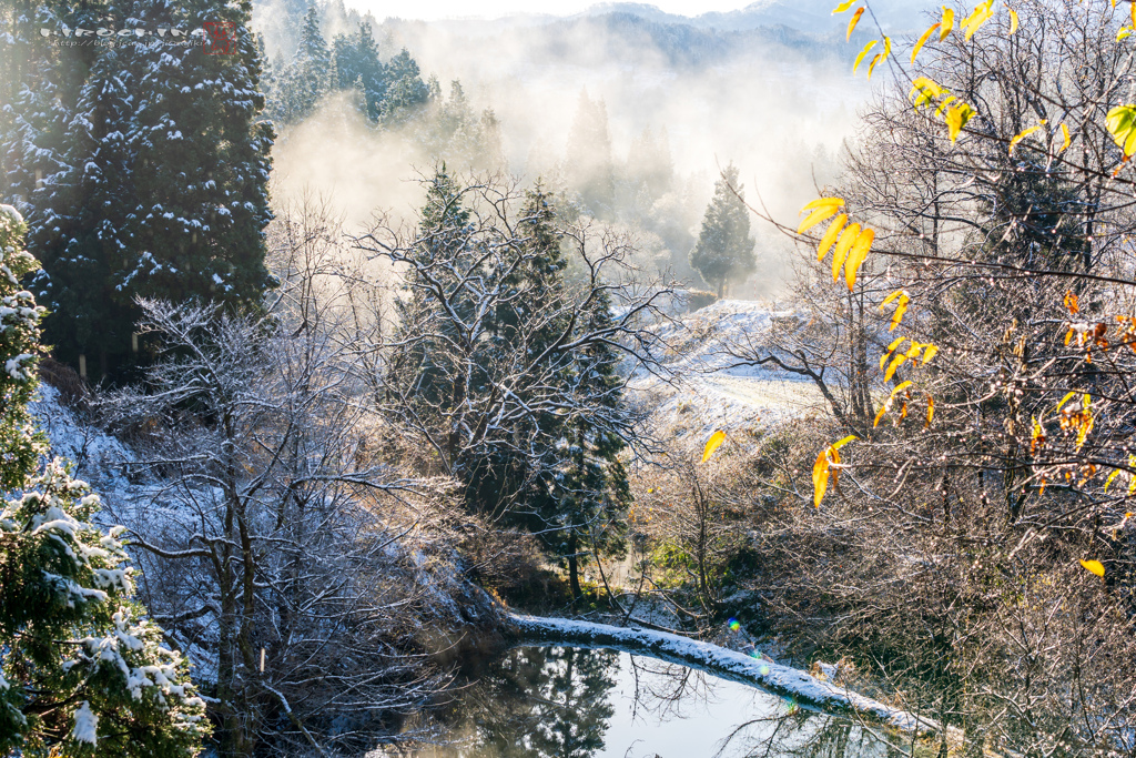 里山は雪