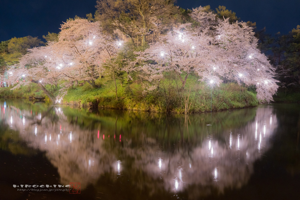 桜ship　2015