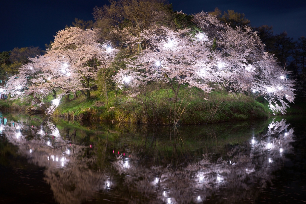 SAKURASHIP2013