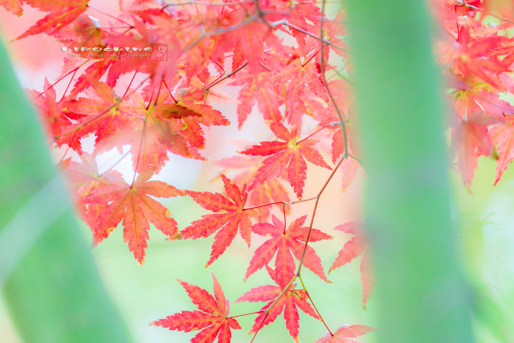目の前のこと