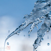 龍氷