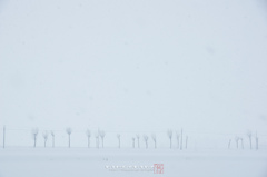 風雪を超えて