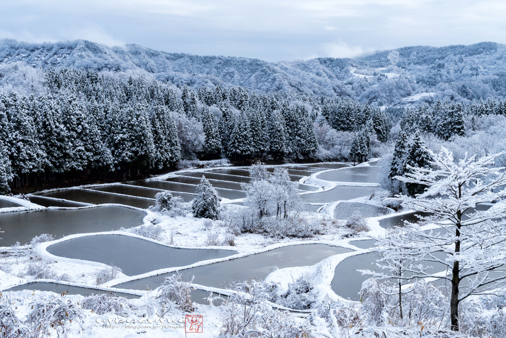 大地の雪景色