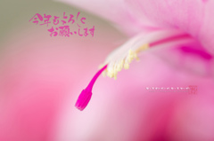 ２０１６スタート