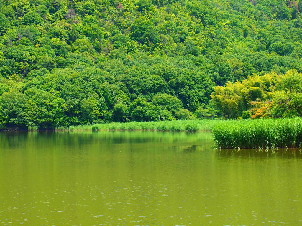 広沢の池