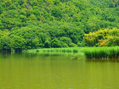 広沢の池