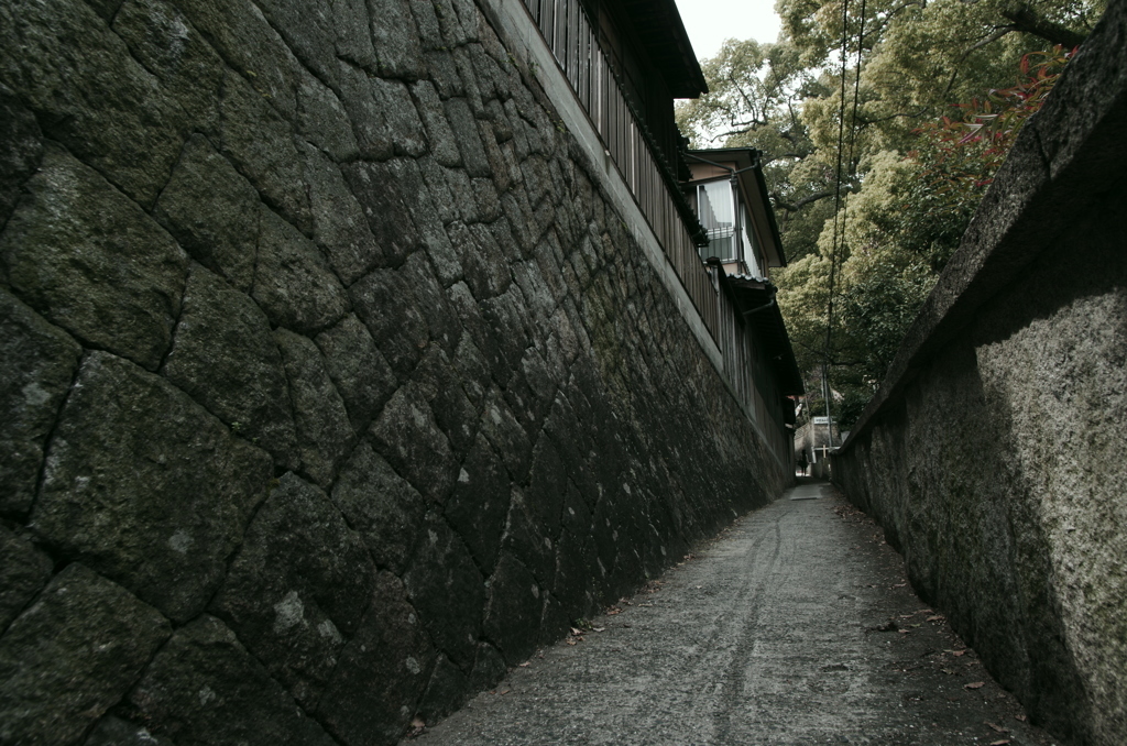 尾道～猫の細道～