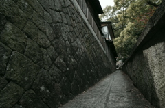 尾道～猫の細道～