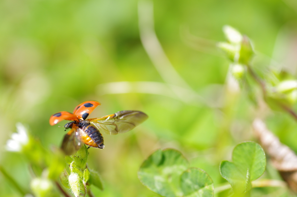Takeoff !!